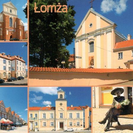 فندق Metropol Łomża المظهر الخارجي الصورة